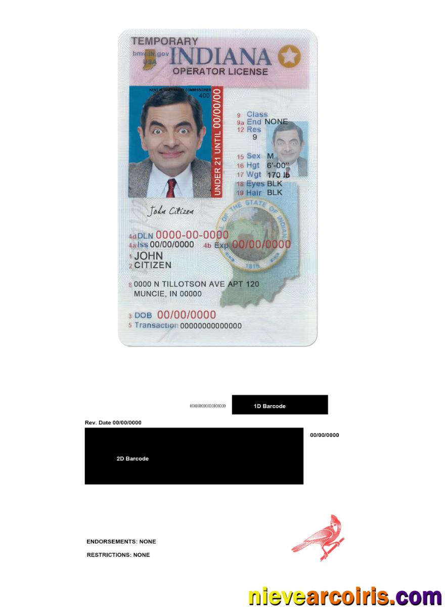 USA Indiana driving (operator) license